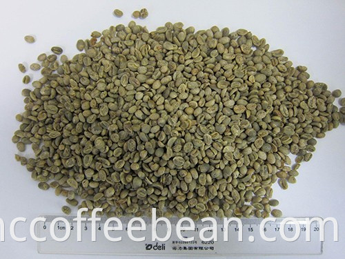 Café chinês, grãos de café verde yunnan, tela 13-15, tipo arábica